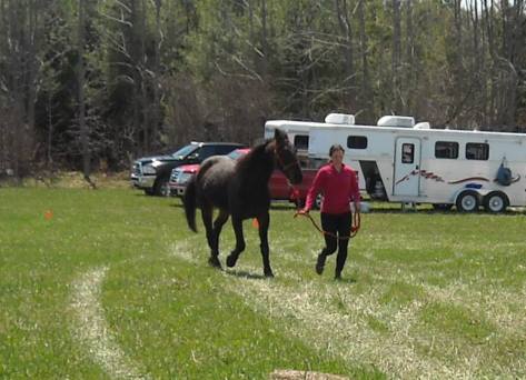 Anastasija and Ares - final trot out for the vets 
